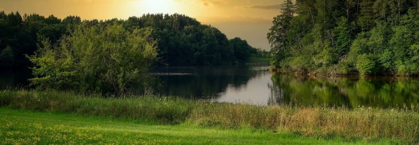 WW_lake-5424344_1920 Sonnenuntergang über einem ruhigen, von dichten grünen Bäumen umgebenen See, mit einem grasbewachsenen Feld und gelben Wildblumen im Vordergrund und dramatischen Wolken am Himmel.
