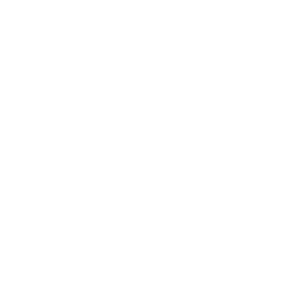 Weißer Hintergrund mit dem Wort WEISCHER in fetten Großbuchstaben und einem stilisierten W-Logo links neben dem Text, beides in Hellgrau.