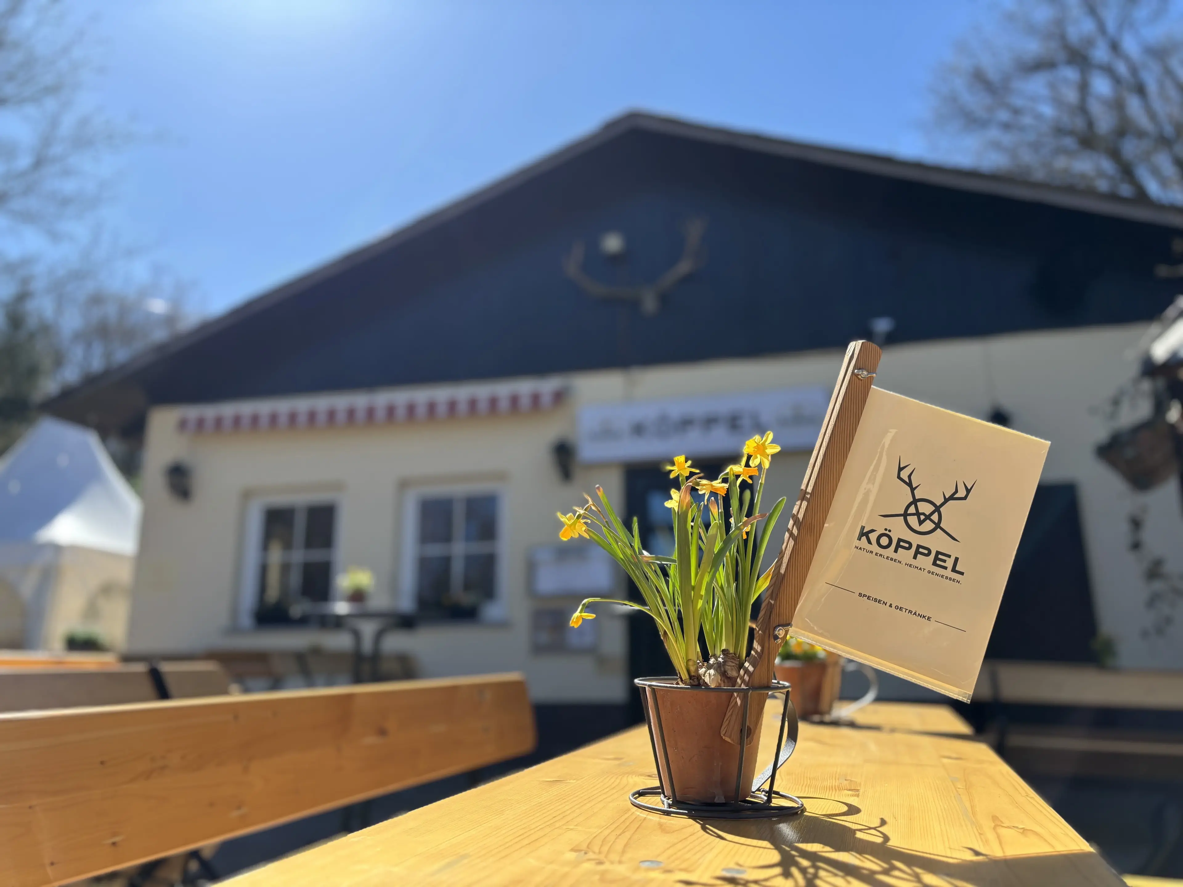 Eventagentur Flensburg